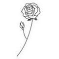 Rosa de junio