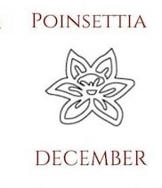 Flor de pascua de diciembre